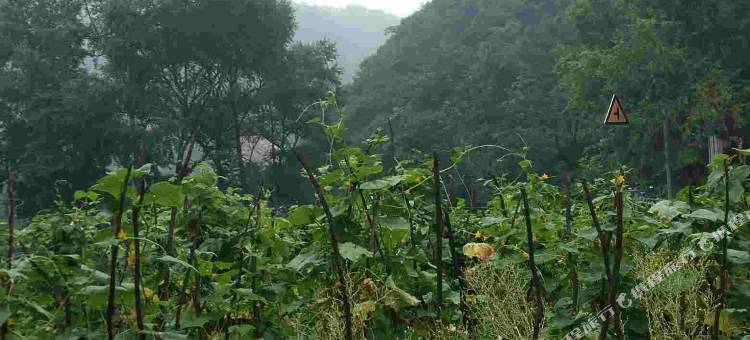 灵寿农家仙居图片