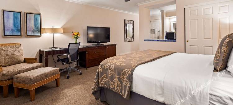 棕榈岛滨海贝斯特韦斯特优质度假酒店(Best Western Plus Island Palms Hotel & Marina)图片