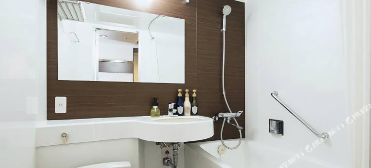MYSTAYS 上野东酒店(HOTEL MYSTAYS Ueno East)图片