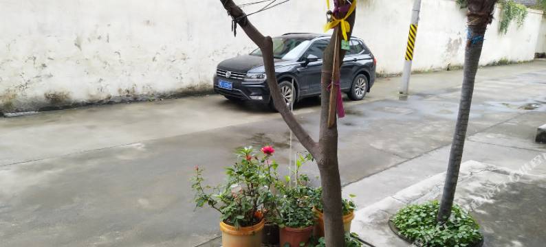 洪湖圆梦旅社图片