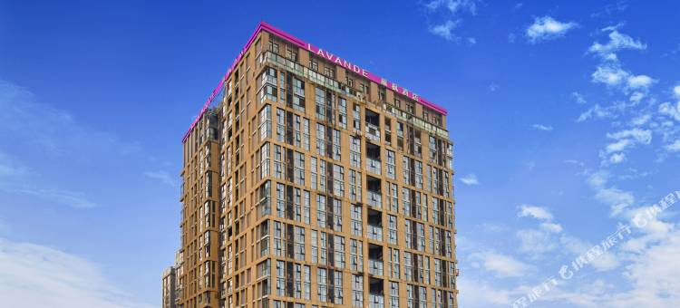 麗枫酒店(成都双流国际机场店)图片