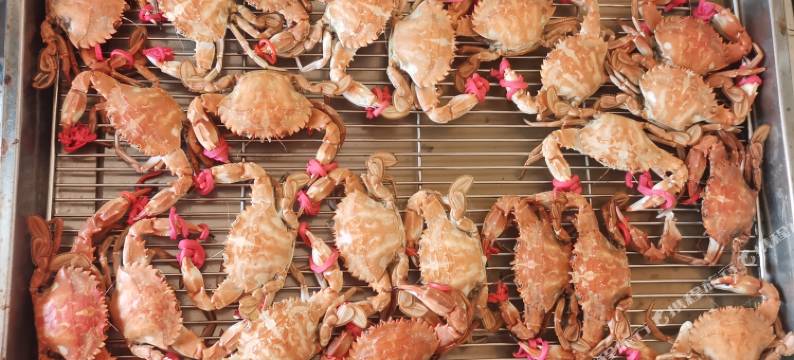 长岛优客渔家乐图片