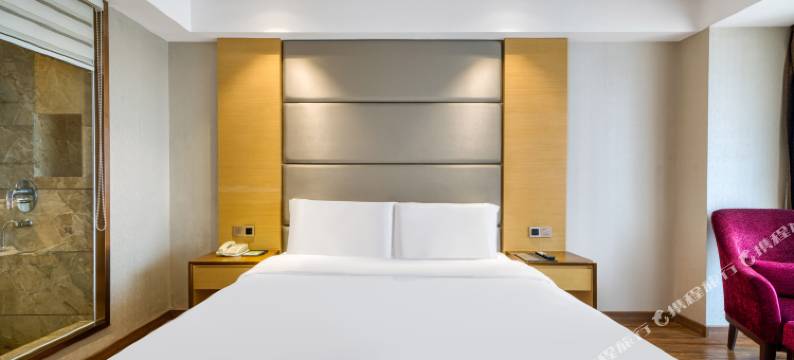 华逸东方酒店(上海虹口四川北路店)图片