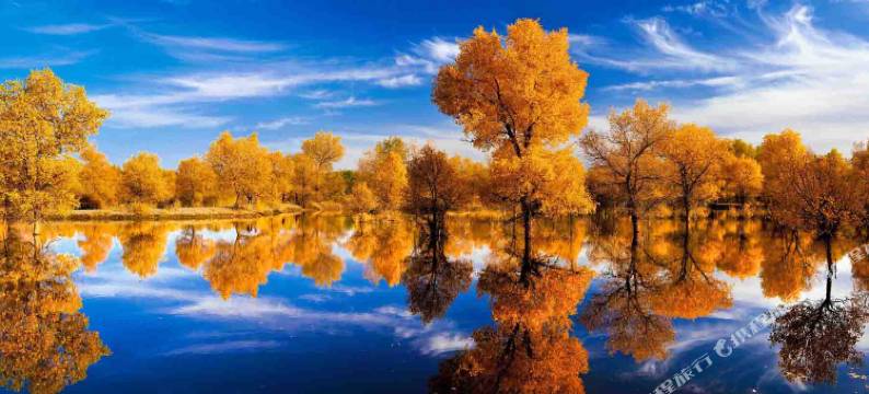 额济纳旗杰隆宾馆图片