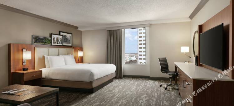 新奥尔良逸林酒店(DoubleTree by Hilton New Orleans)图片