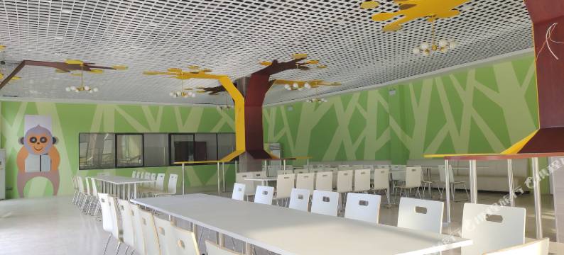 白头叶猴公寓图片