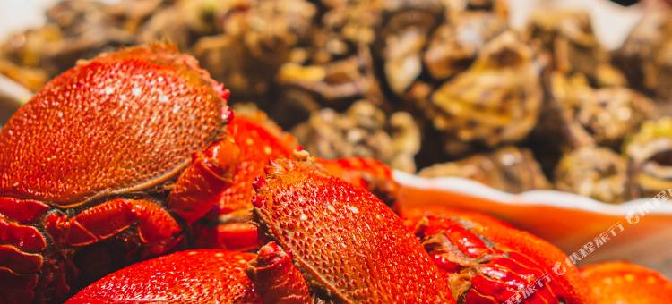 郑州索菲特国际饭店图片