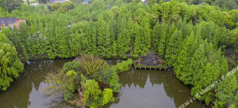 邛崃瑞园名宿图片
