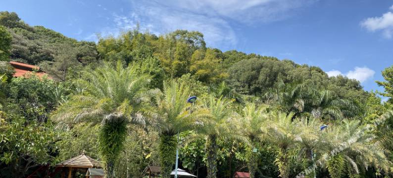 龙门南昆山云顶温泉威士忌酒店图片