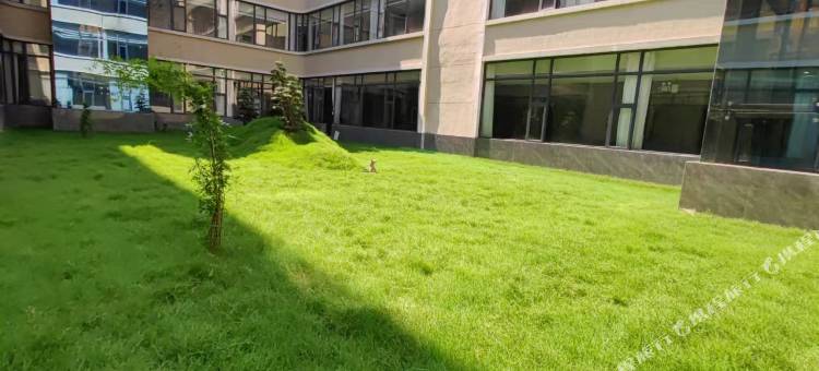 房县政府宾馆图片