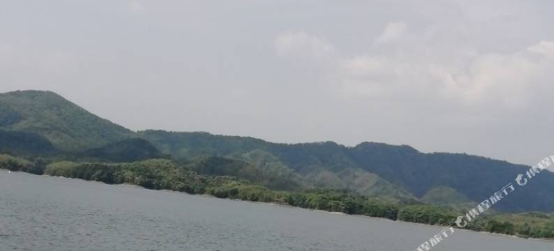 崇阳金福宾馆图片