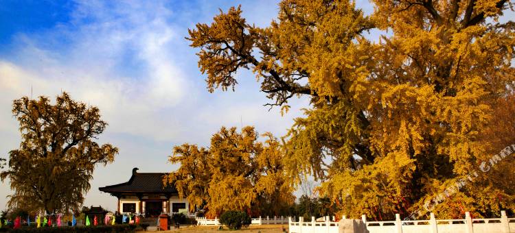 南京汤泉宾馆图片