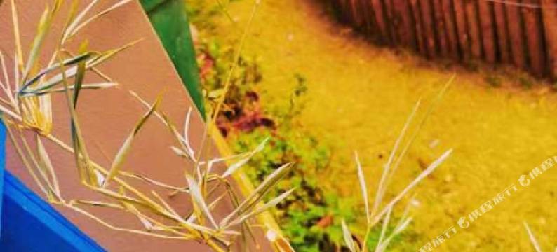 武汉黄龙山青年旅社图片