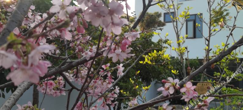 龙海聚兴德民宿图片