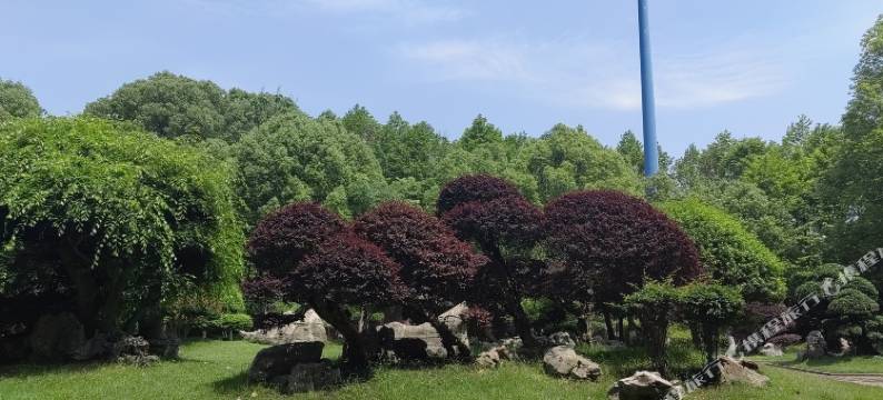 常德丽景苑酒店图片