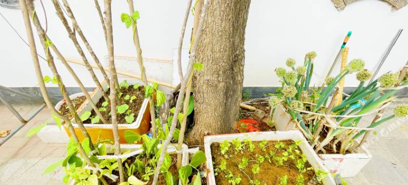 易县幽静小院民宿(太行水镇店)图片