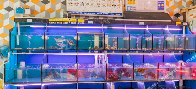 舟山桃花岛双玥兰苑民宿图片