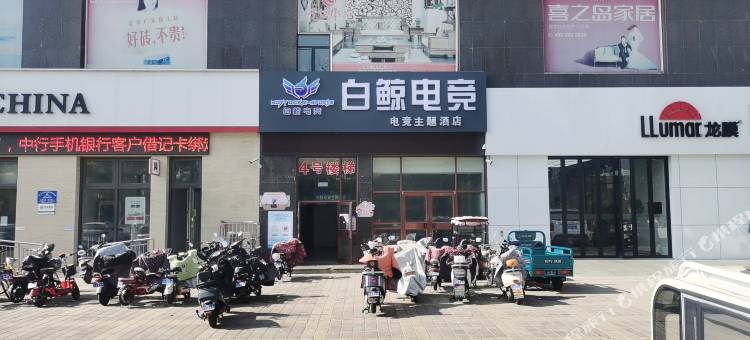 石嘴山白鲸电竞酒店(光明中学店)图片