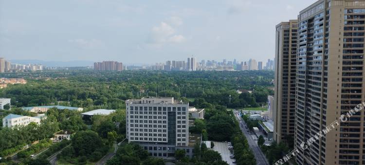 新宿公寓(天府和悦广场店)图片