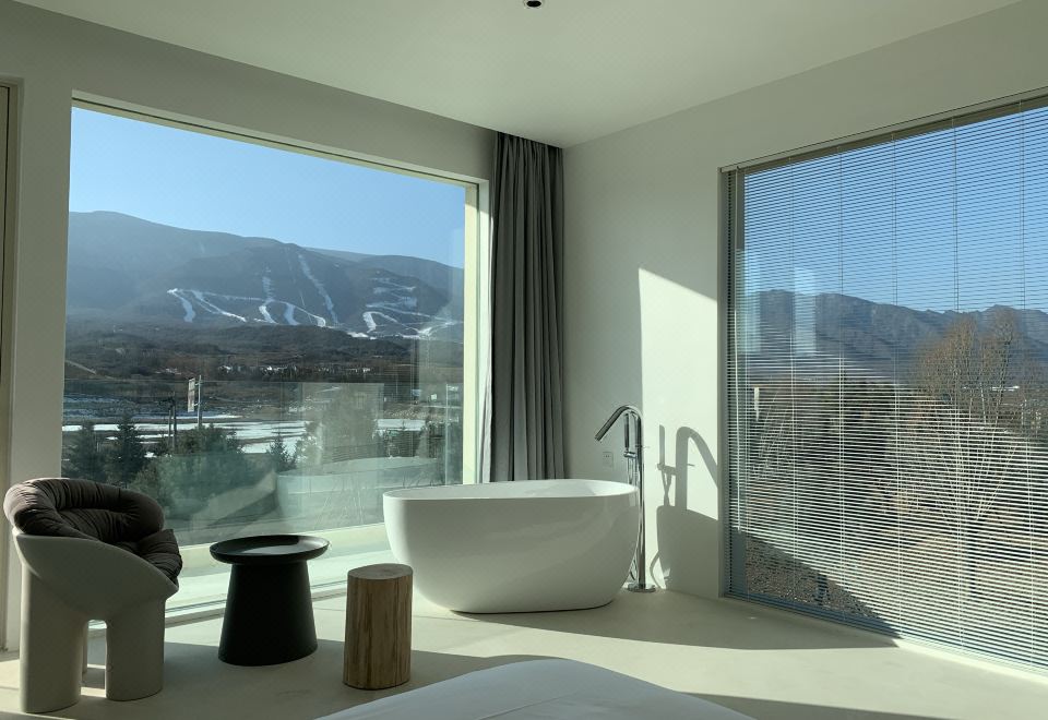 THE MIST VILLAOver view