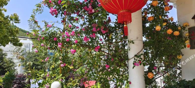 嵊泗小惠小庄图片