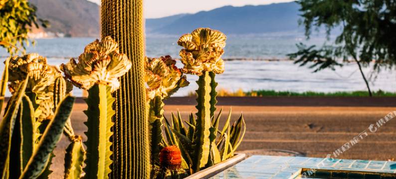 东墨·海景酒店(大理洱海店)图片