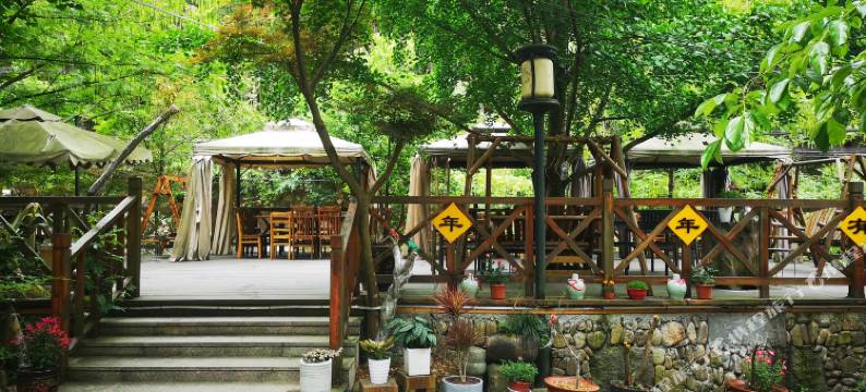 桐庐白云源梅记人家图片