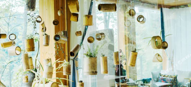 绥宁铁杉林苑民宿图片