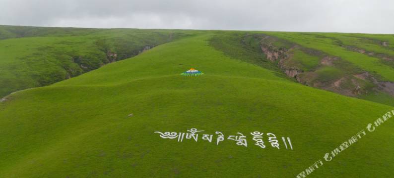 青海湖扎西牧场民宿图片