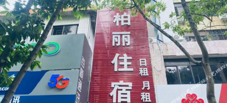 柏丽住宿图片