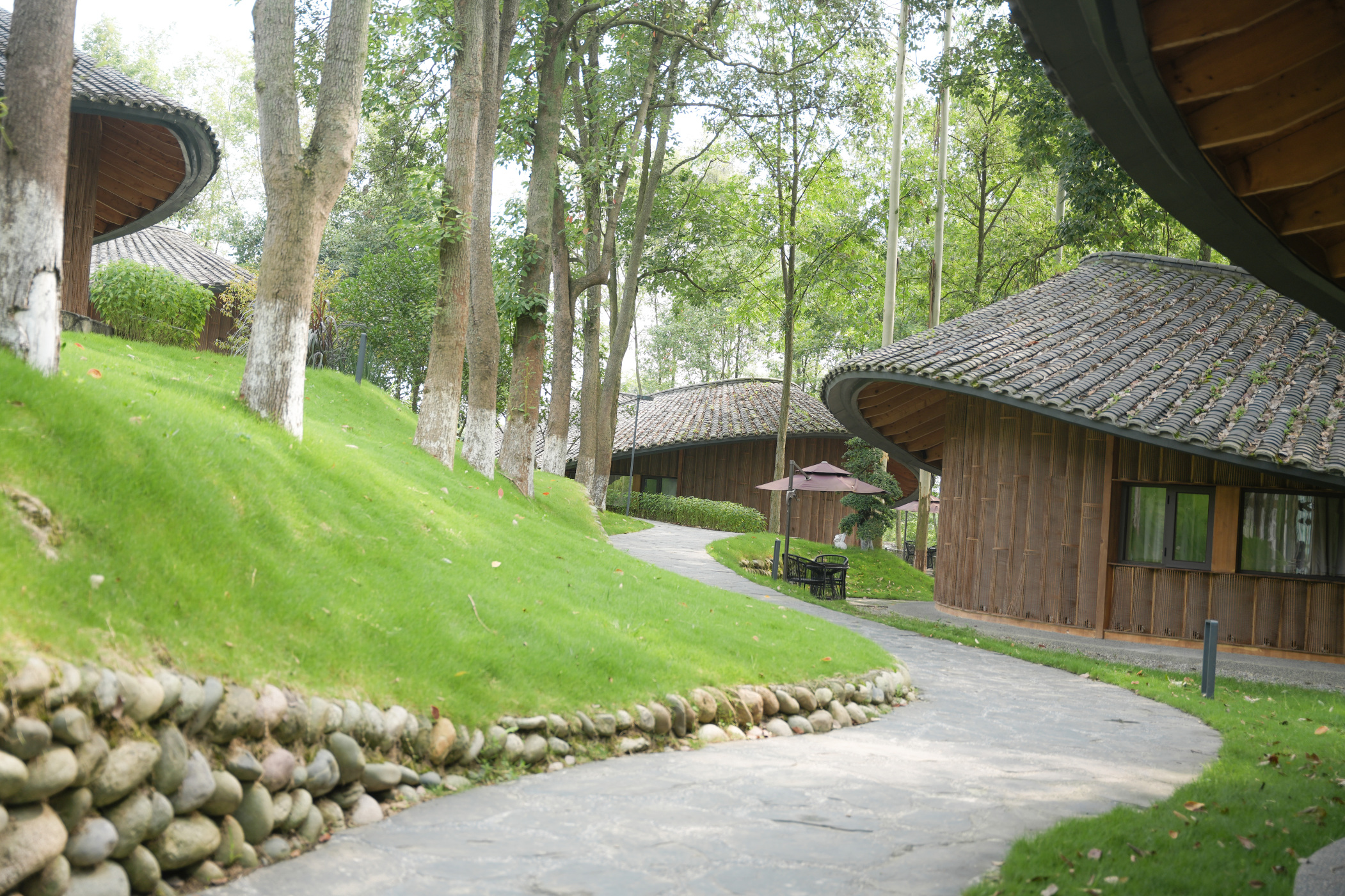 Zhuli Guesthouse Hotel Overview