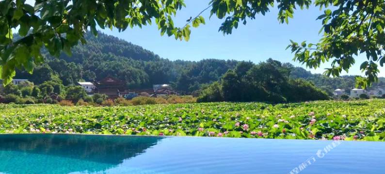 衡山麦客.荷客精品民宿(水帘洞景区店)图片