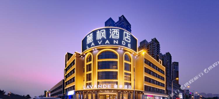 麗枫酒店(天津滨海新区福州道店)图片