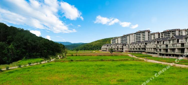 西双版纳景洪桃野拾光温泉度假酒店图片