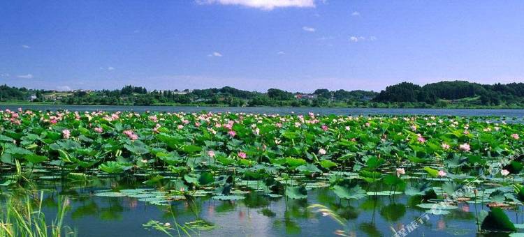 凯里亚德酒店(济南高新万达广场天辰路店)图片