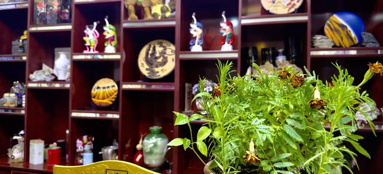 敦煌逸居客栈(敦煌夜市店)图片