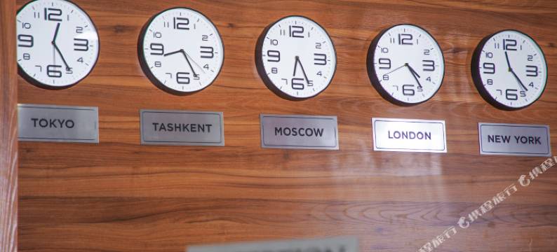 钻石塔什干酒店(Diamond Hotel Tashkent)图片