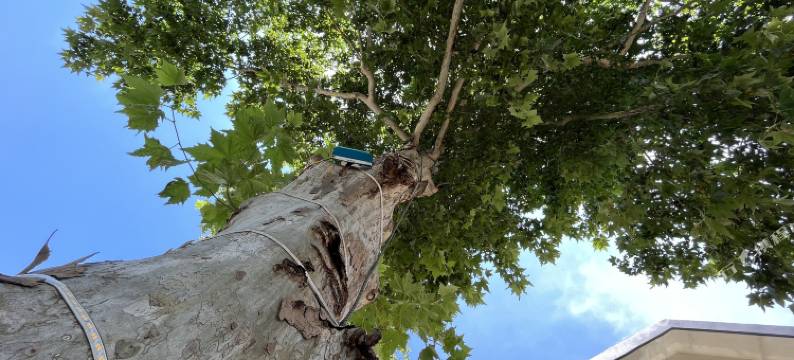 天目梧桐舍(溧阳天目湖山水园景区店)图片