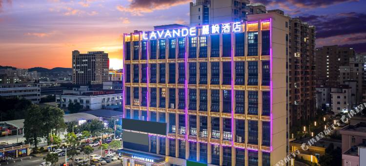 麗枫酒店(东莞虎门居岐公园店)图片