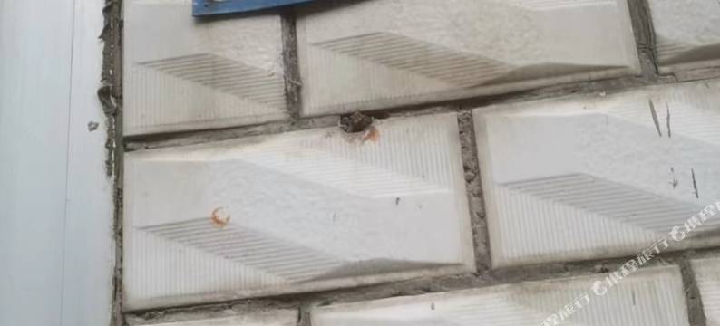 农电招待所图片