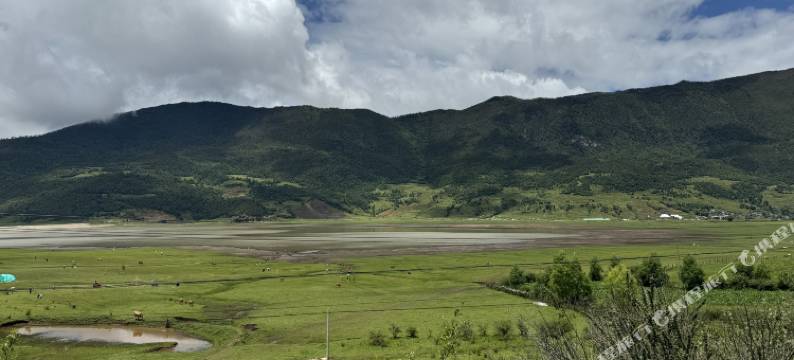 东驿青年旅社图片