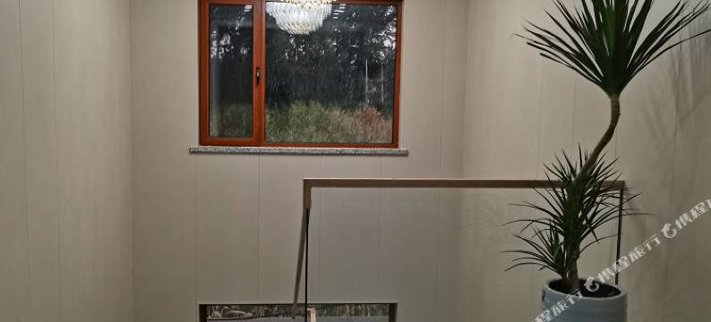 星舒适商务酒店图片