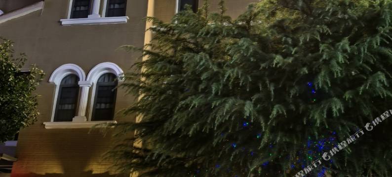 咖萨丽睿安·别墅民宿(安顺高铁站万象旅游城店)图片