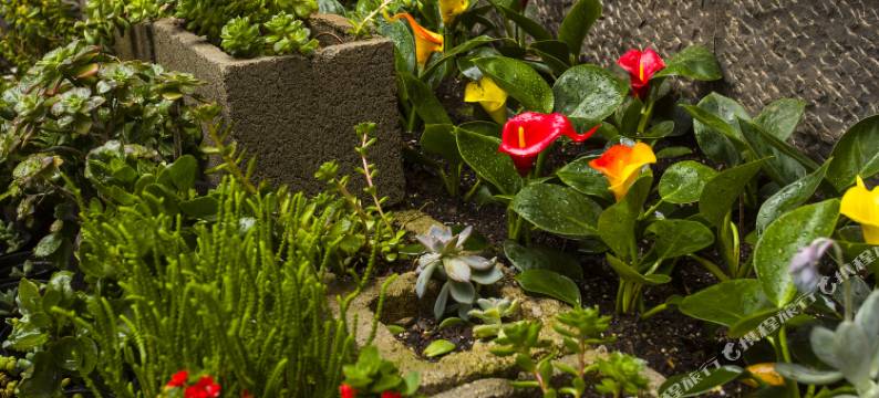 丽江归璞云台缘客栈(束河古镇店)图片