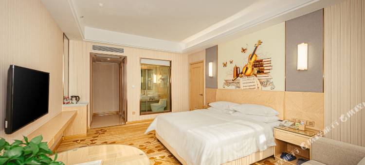 霆曦国际酒店(新田店)图片