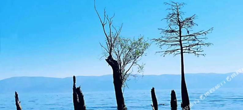 大理洱海网红S湾.问道磻溪园海景客栈图片