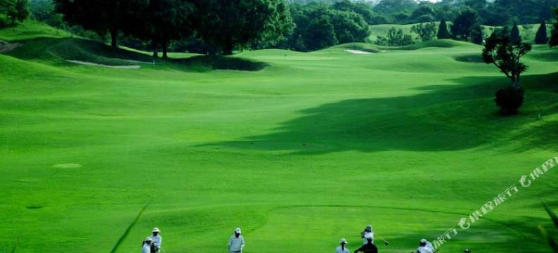 卡尔顿.HOTEL图片