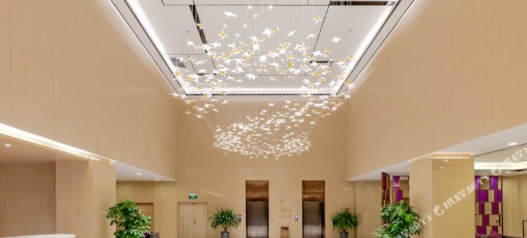 麗枫酒店(宿州市立医院呈泰双子座店)图片