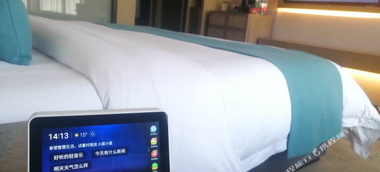 诚城智臻酒店(新乡高铁东站店)图片