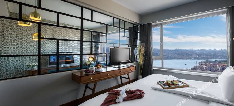 马尔马拉佩拉酒店(The Marmara Pera)图片